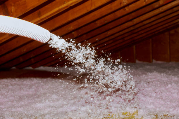 Best Cellulose Insulation in Blountville, TN