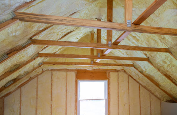 Best Geographic-Specific Insulation Services in Blountville, TN