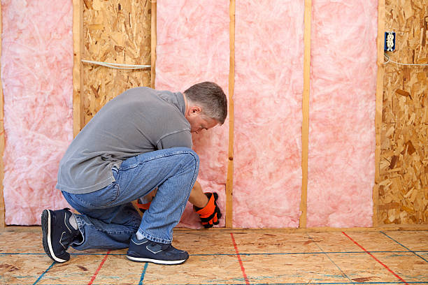 Best Fiberglass Insulation in Blountville, TN